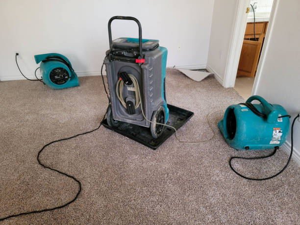 Best Mold removal after water damage  in , WY