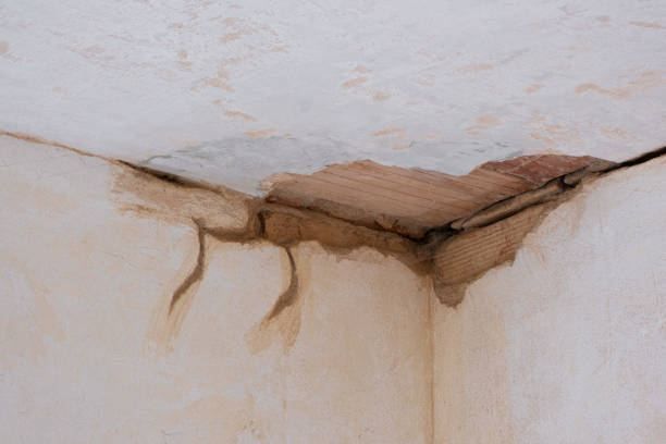  , WY Water damage restoration Pros