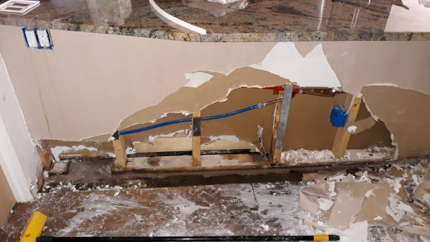 Best Water damage restoration process  in , WY