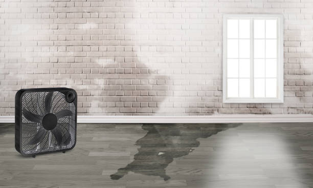 Best Ceiling water damage repair  in , WY