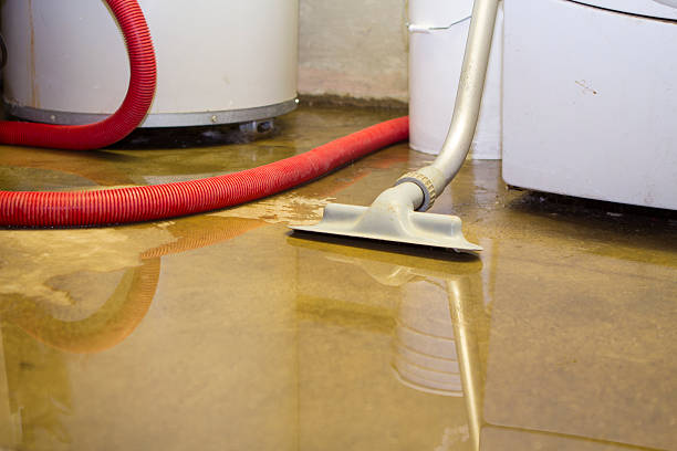 Best Residential water damage restoration  in , WY
