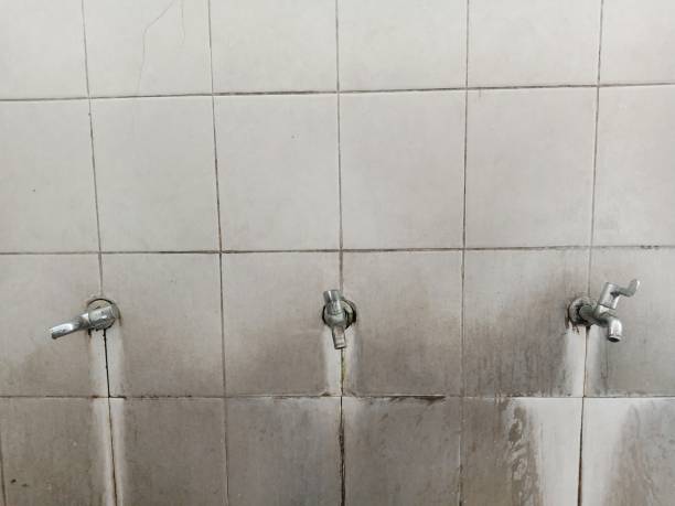 Best 24/7 water damage repair  in , WY