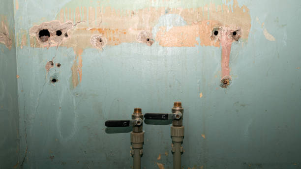 Best Emergency water damage restoration  in , WY