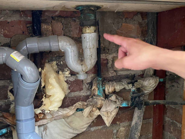 Best Water damage restoration near me  in , WY