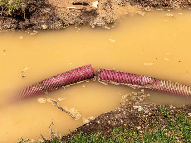 Best Flood damage cleanup  in , WY